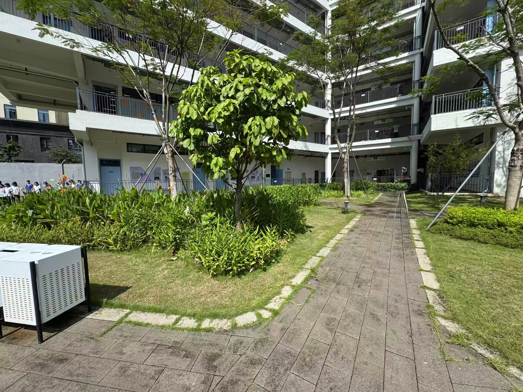 C区1号点位实景图 - 位于C区西部主通道