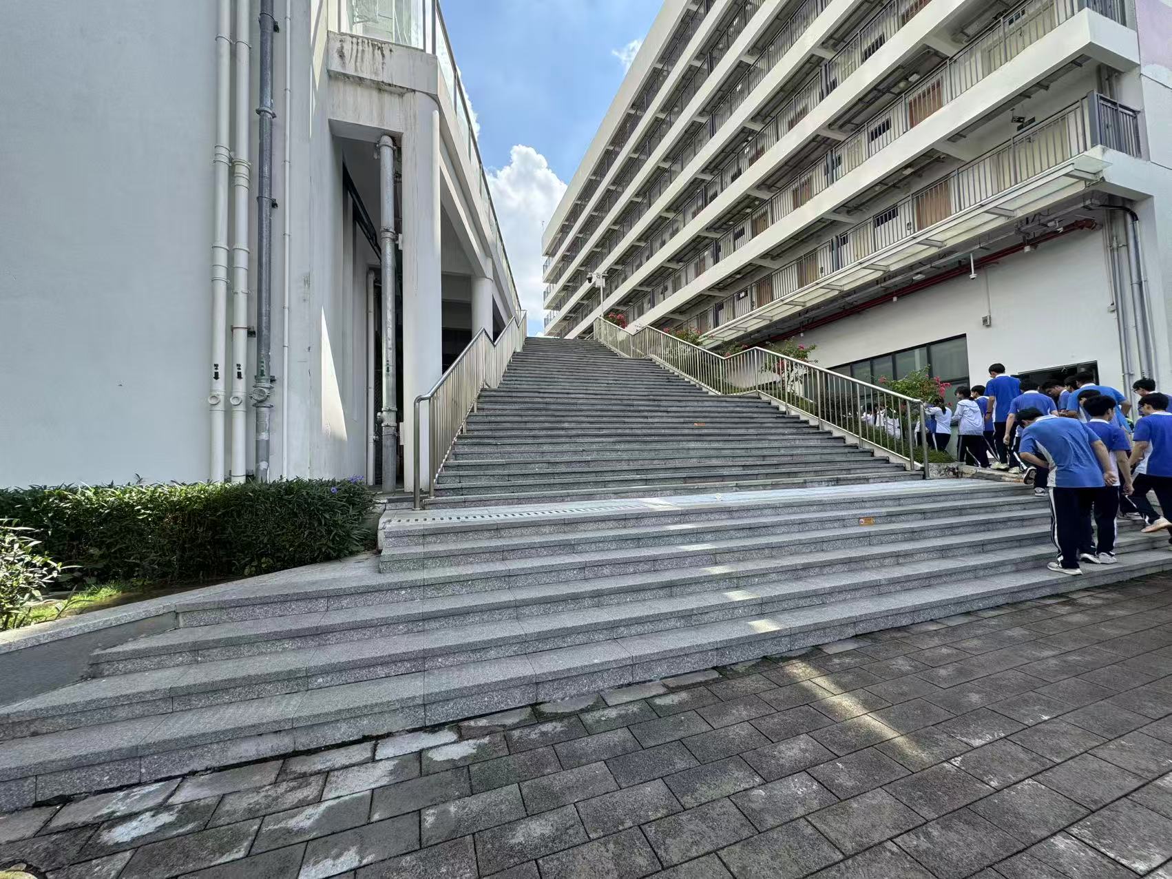 E区1号点位实景图 - 位于E区中心服务区域